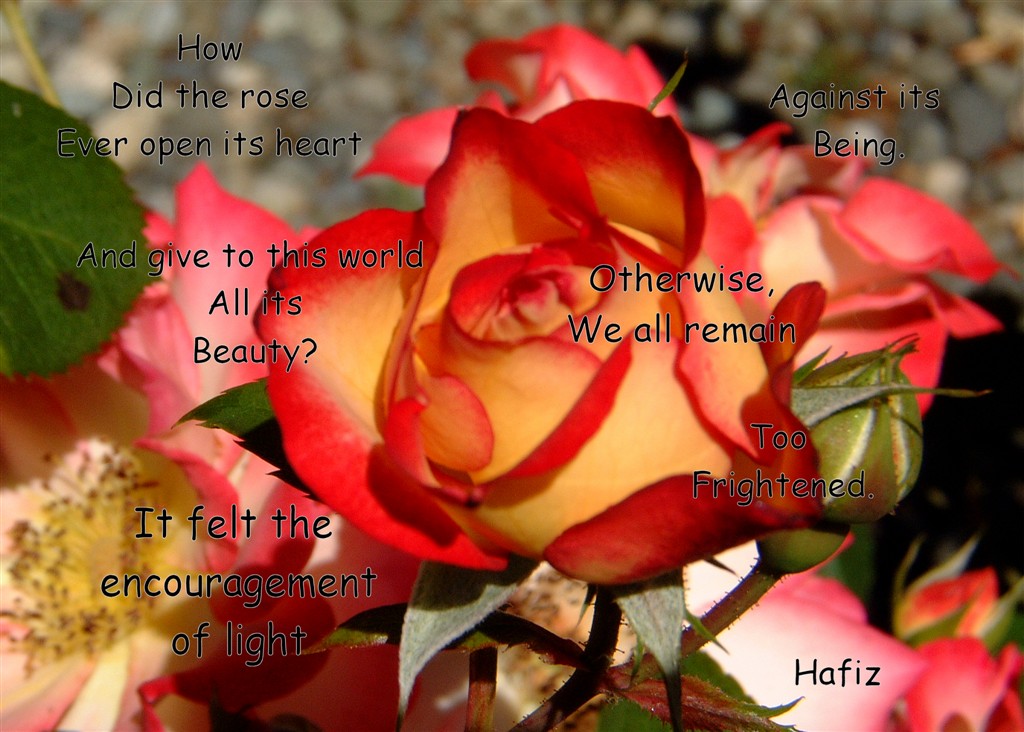 It Felt Love.jpg