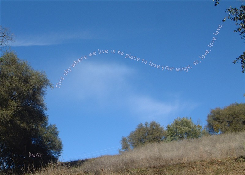 The sky where we live.jpg
