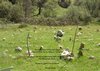 Sacred Space - labyrinth.jpg