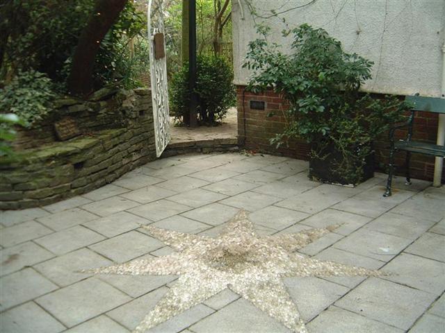 03 - Shambala Star.jpg