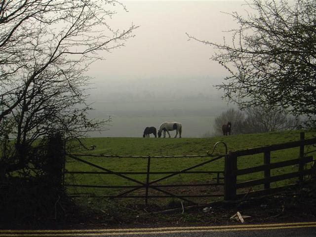 20 - Chilkwell Street horses.jpg