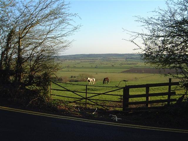 60 - Chilkwell Street horses yet again.jpg